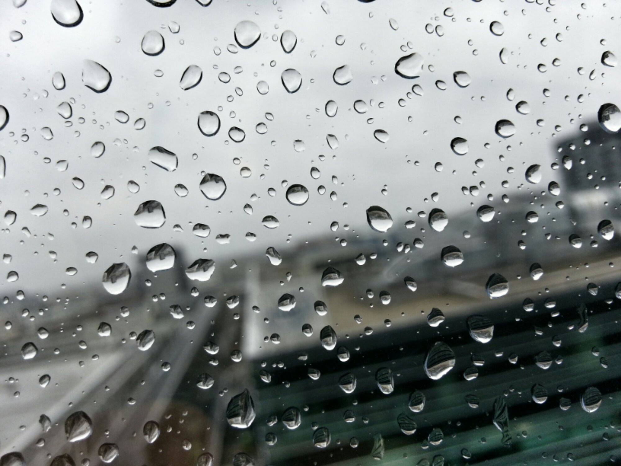 20140306_122635_1.jpg image