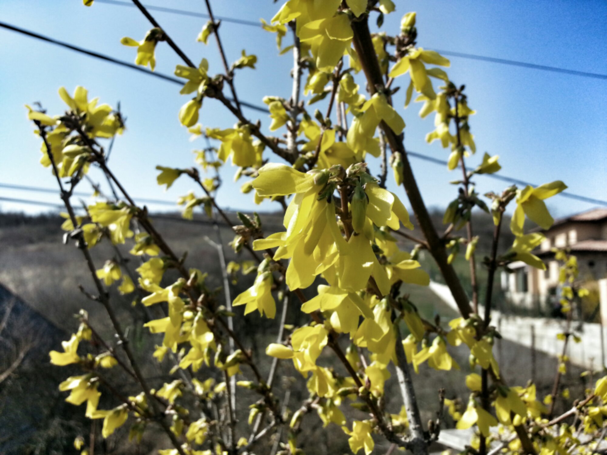 20140308_124135_1.jpg image